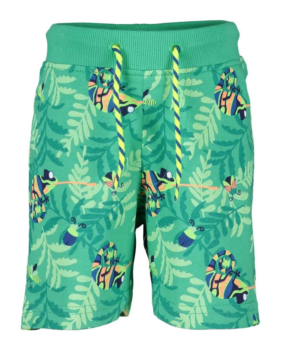 Shorts "Chamäleon", Biobaumwolle, lagune