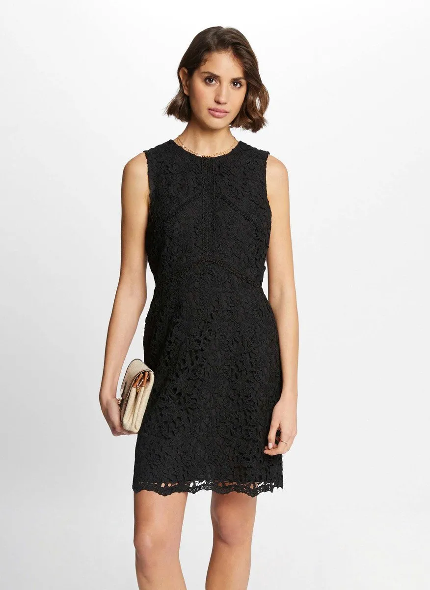 Kurzes Kleid mit Rundhalsausschnitt und bestickter Spitze Braun 241-RADIA