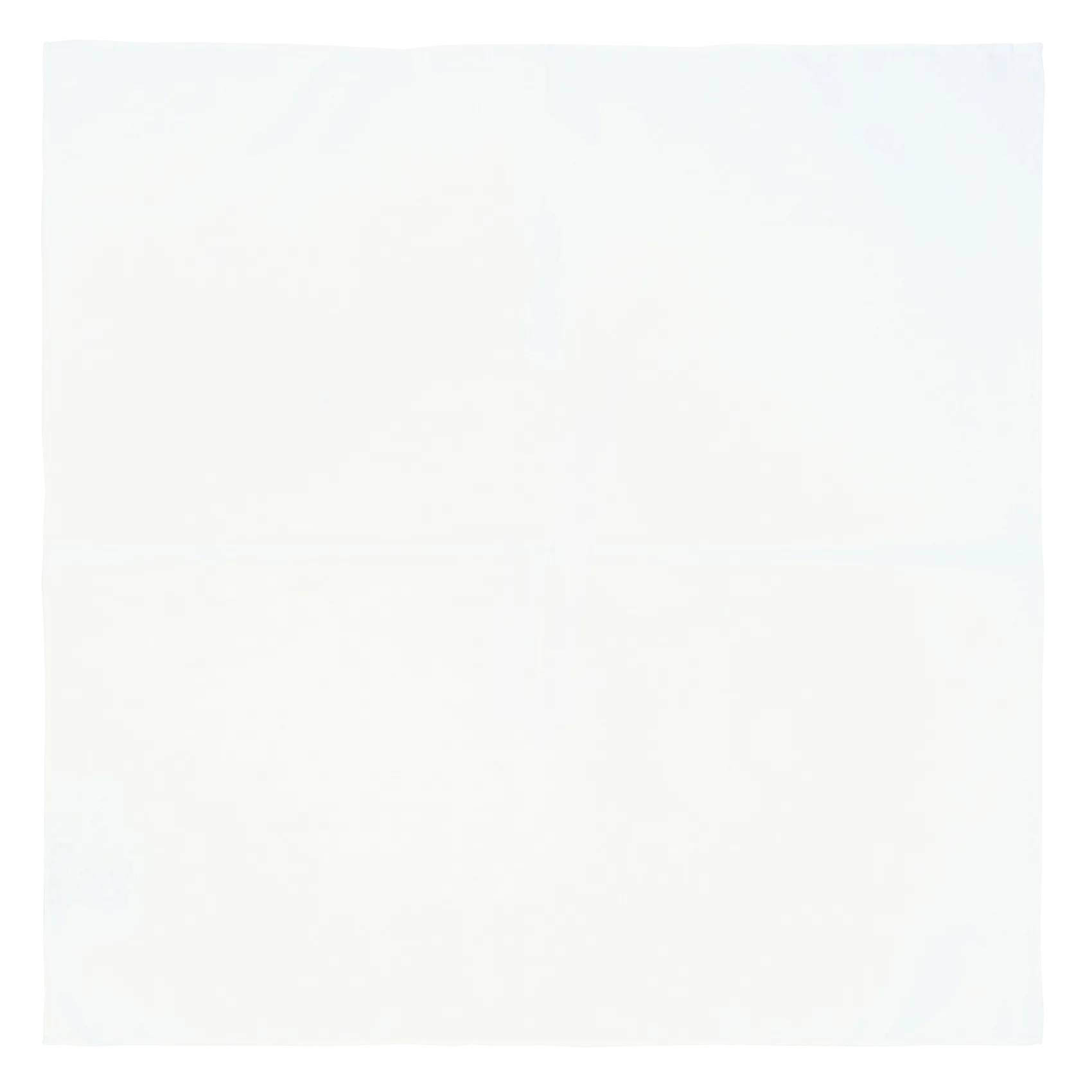 Anzugtasche aus Baumwolle Weiss