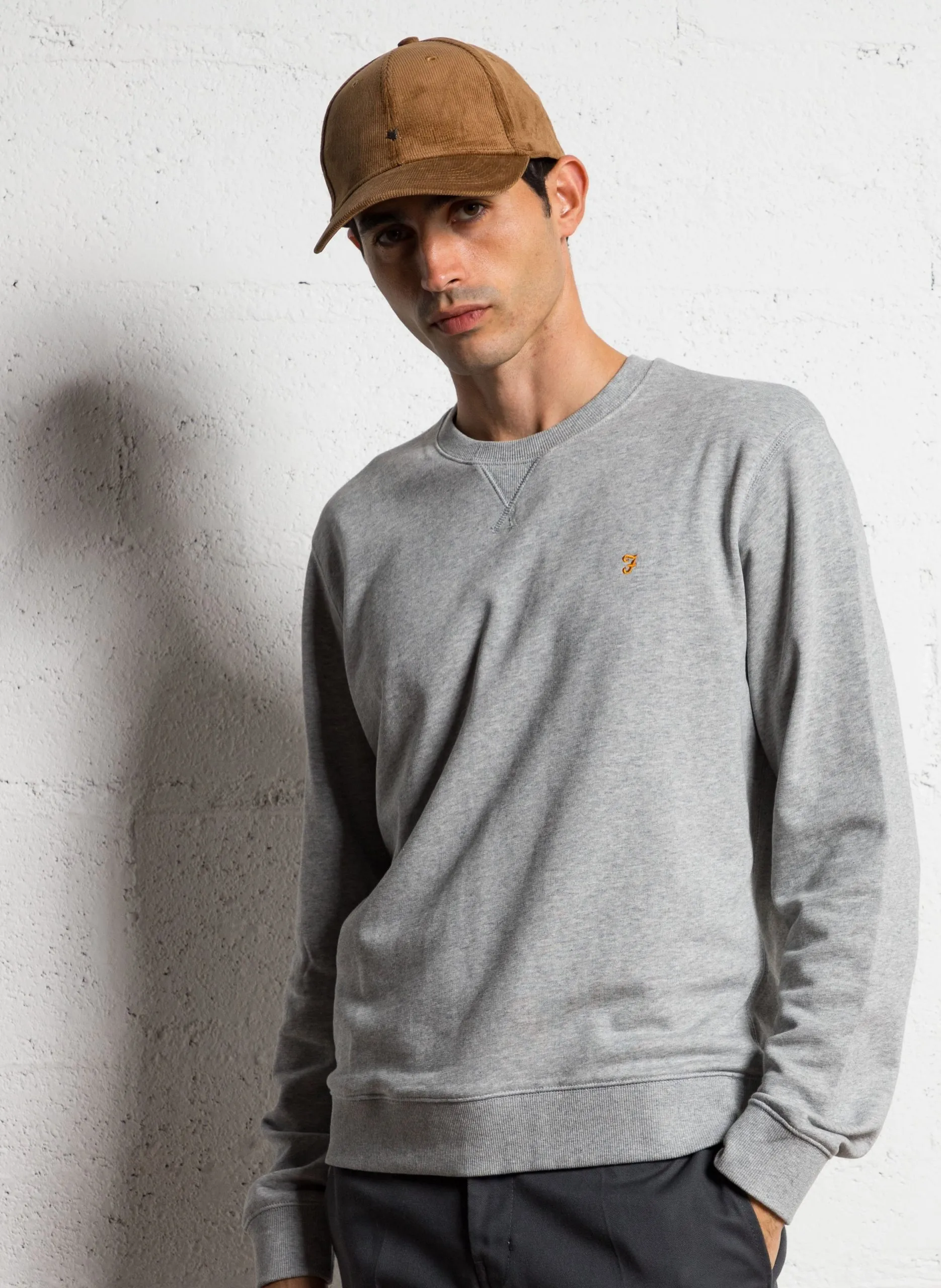 Rundhals-Sweatshirt aus Bio-Baumwolle, Slim Fit Silber TIM