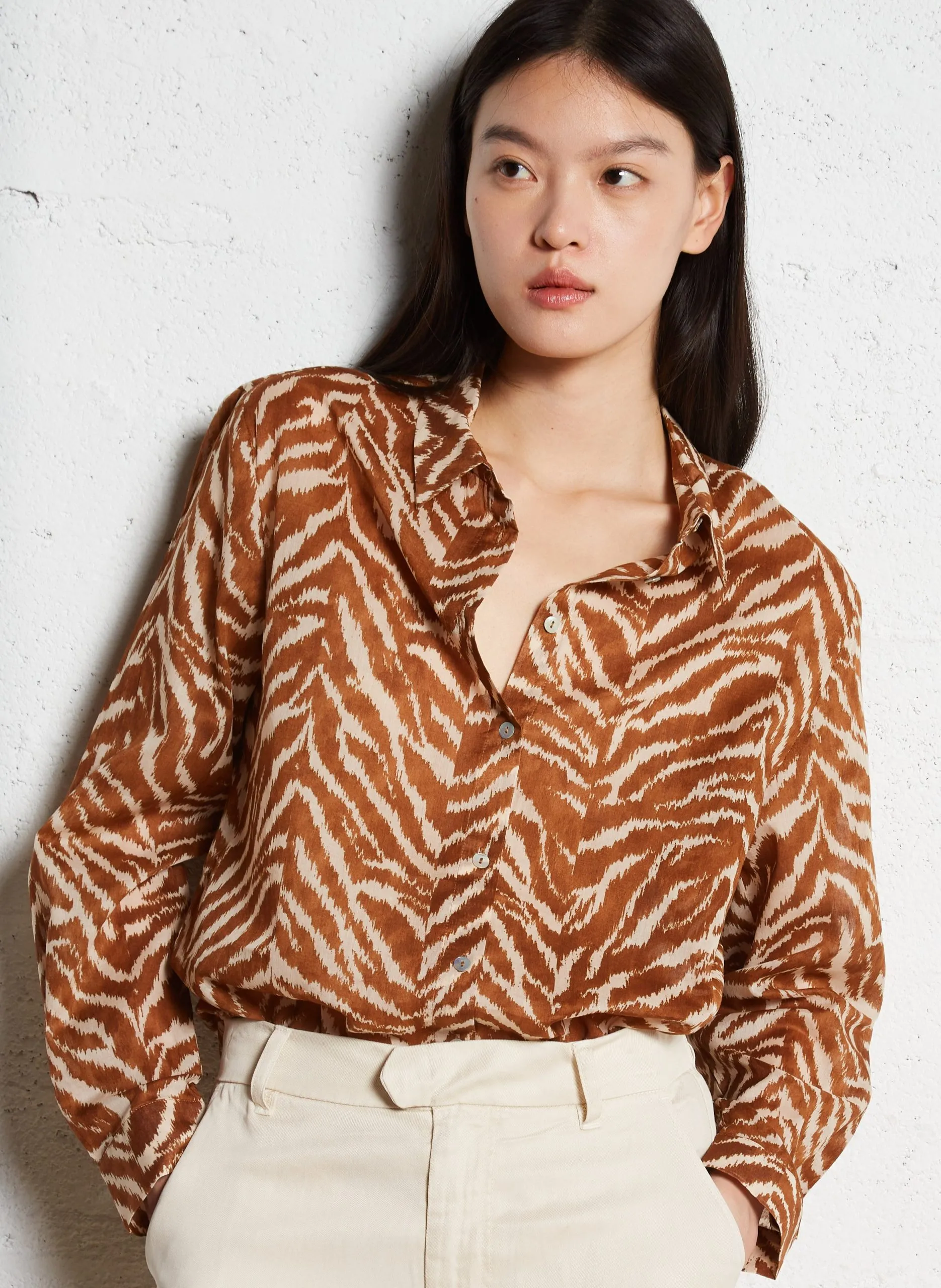 Baumwollhemd mit klassischem Kragen Braun COLETTE