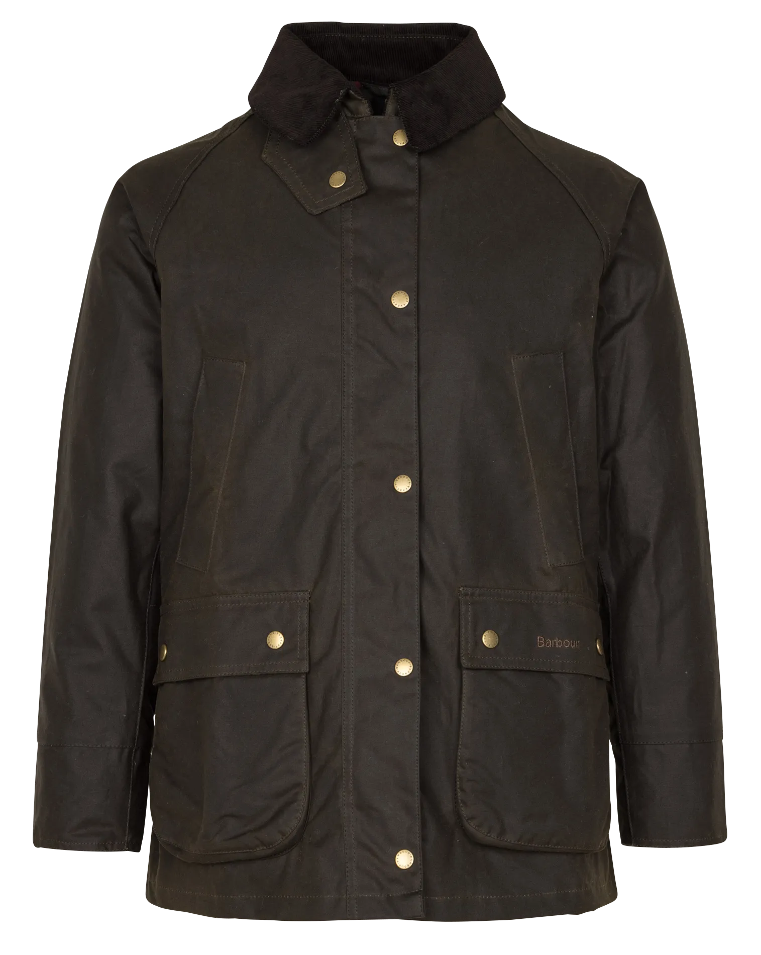 Baumwollparka mit klassischem Kragen Khaki