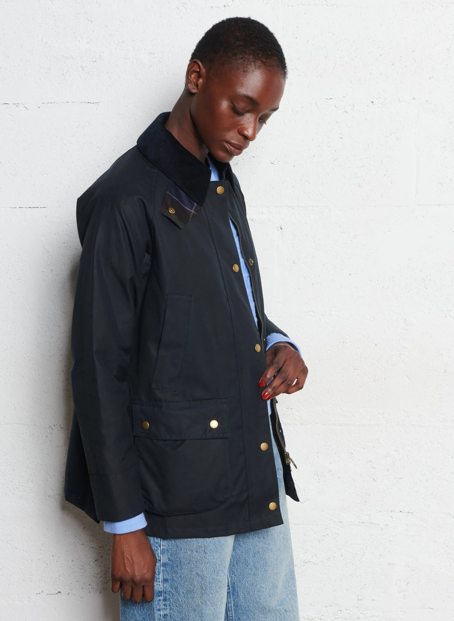 Baumwollparka mit klassischem Kragen Blau