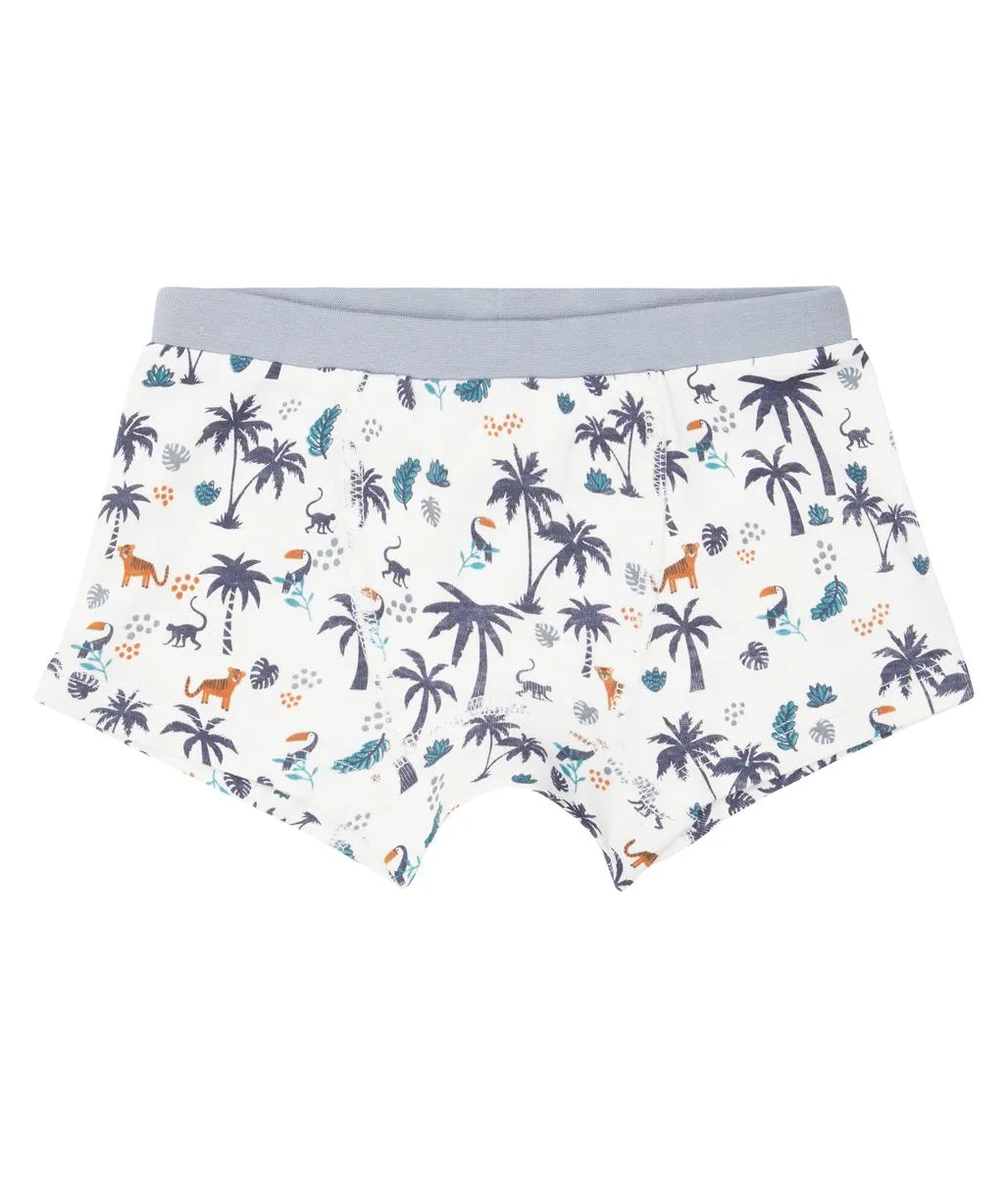 2er-Pack Boxershorts "Savanne/Blue Stripes", Biobaumwolle, GOTS-zertifiziert